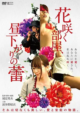 流沙之城 冒险电影高清在线播放